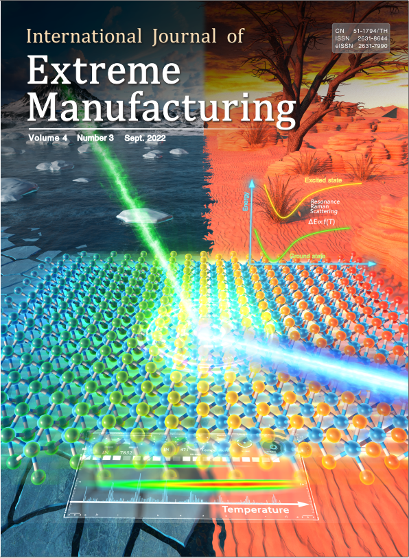 Optical wafer defect inspection at the 10 nm technology node and