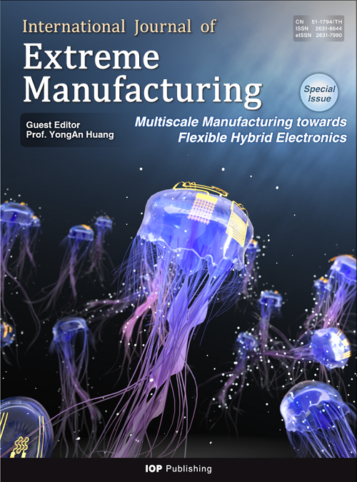 Special Theme on “Multiscale Manufacturing towards Flexible 