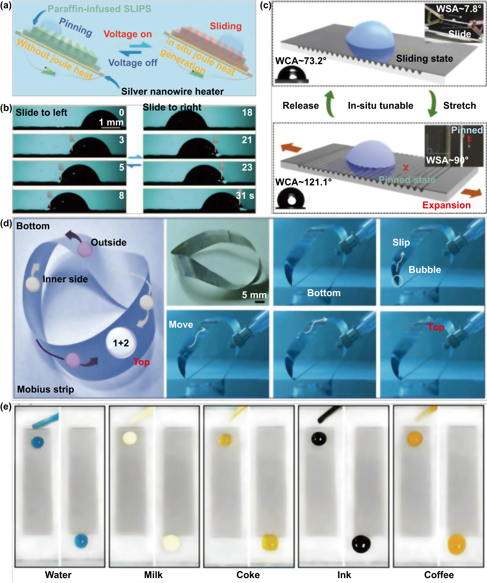 Bioinspired micro/nanostructured surfaces prepared by femtosecond