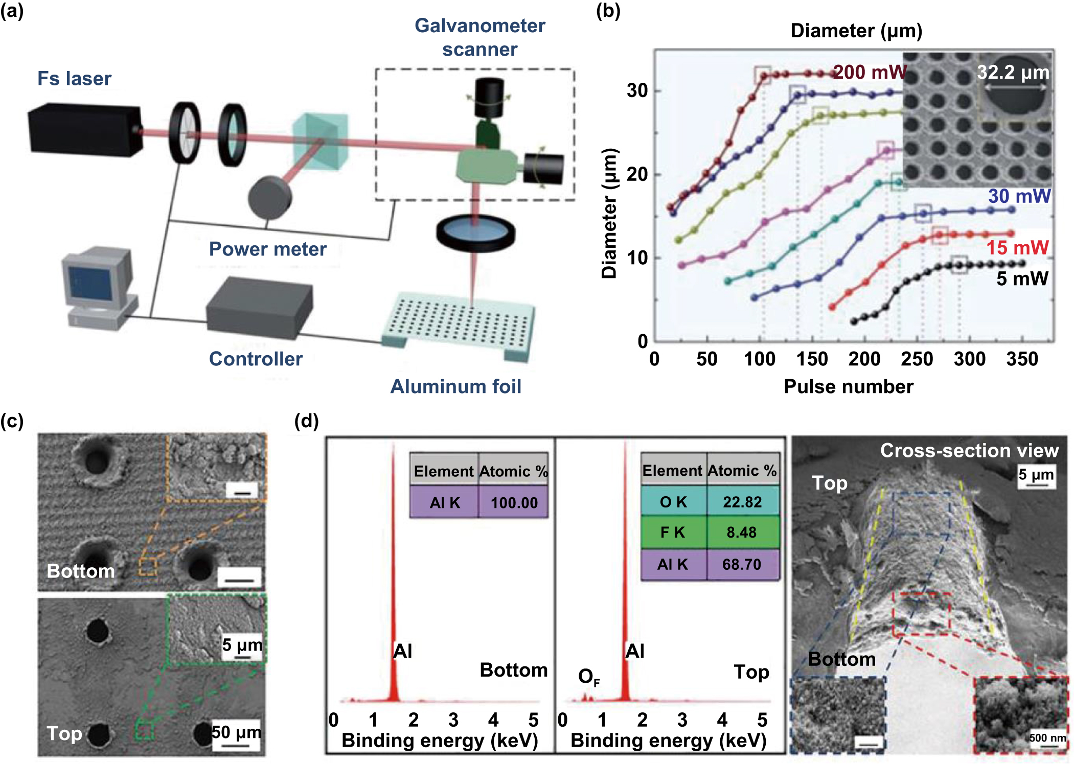 Bioinspired micro/nanostructured surfaces prepared by femtosecond