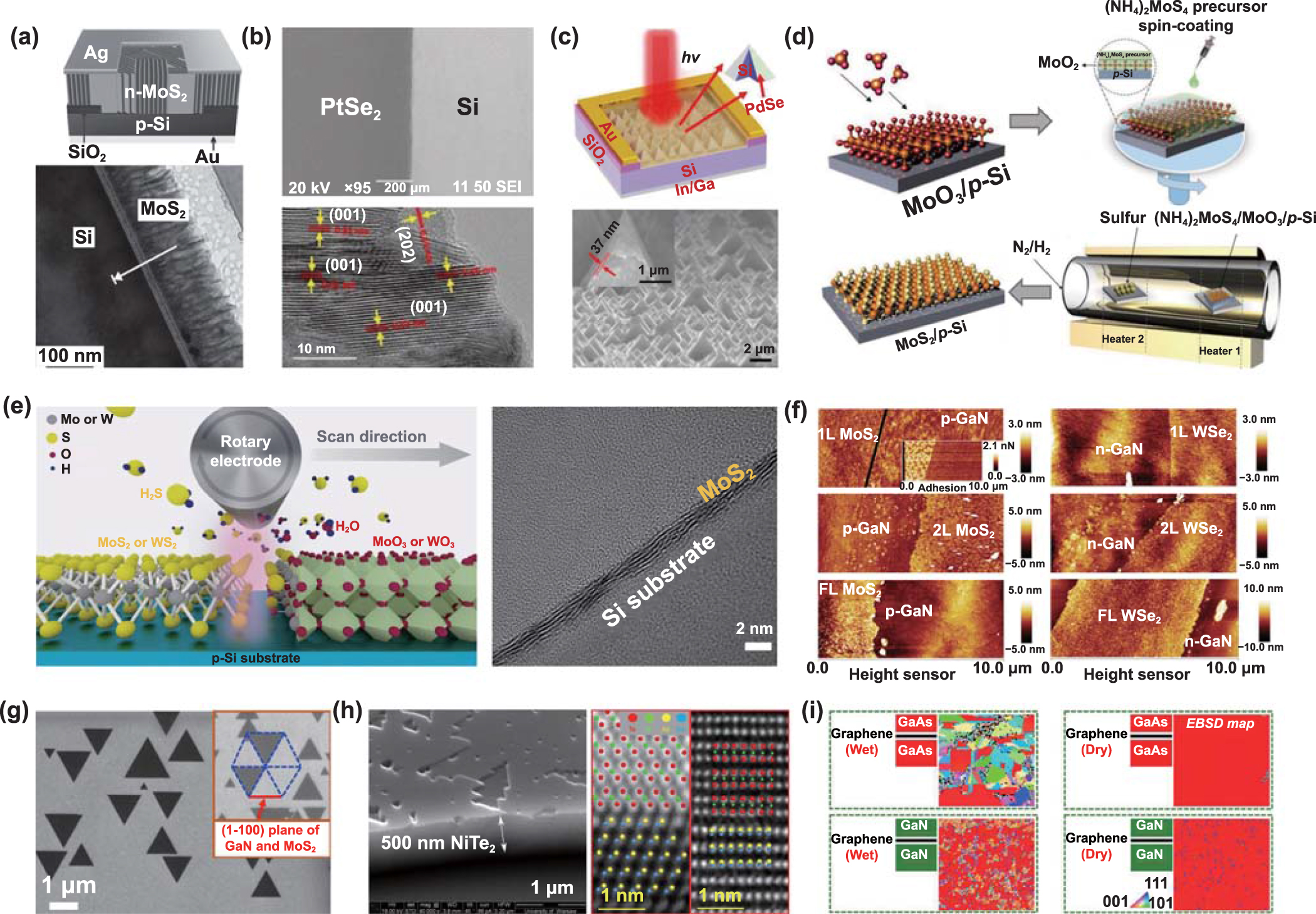 C様オーダー Growth mechanisms of monolayer hexagonal boron nitride ( h
