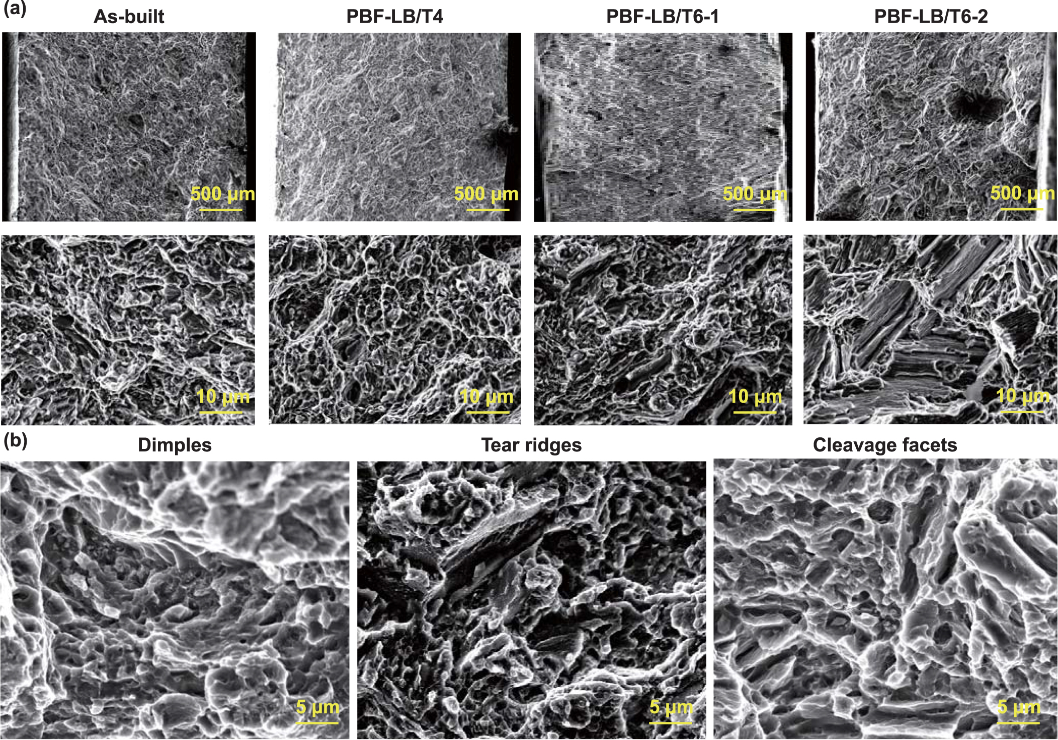 Influence of heat treatment on microstructure, mechanical and