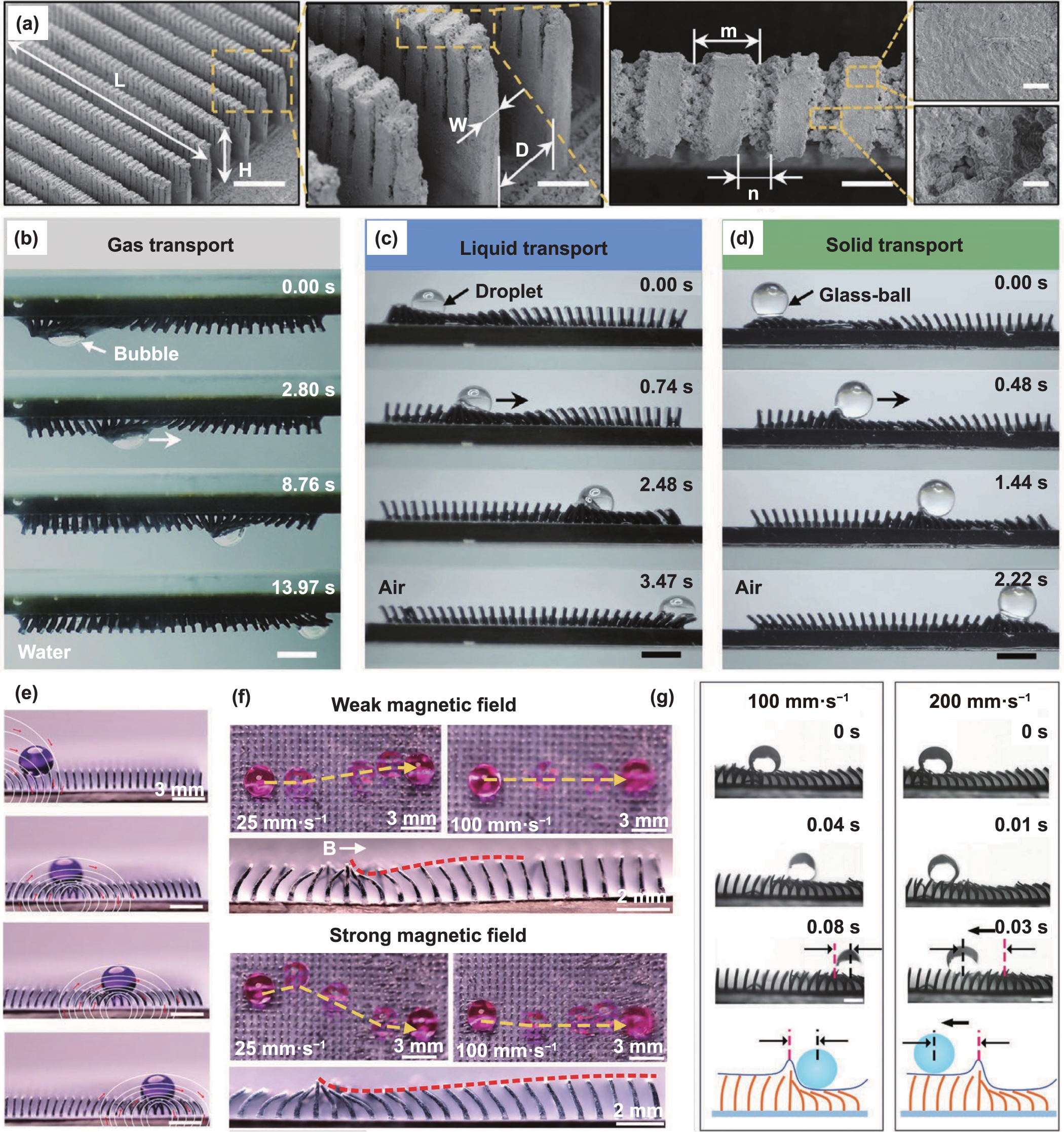 Recent progress in bio-inspired macrostructure array materials