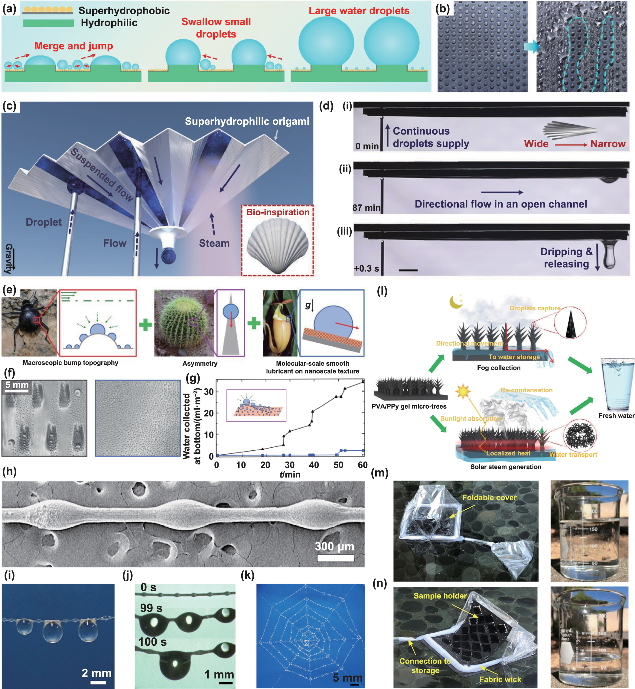 Recent progress in bio-inspired macrostructure array materials