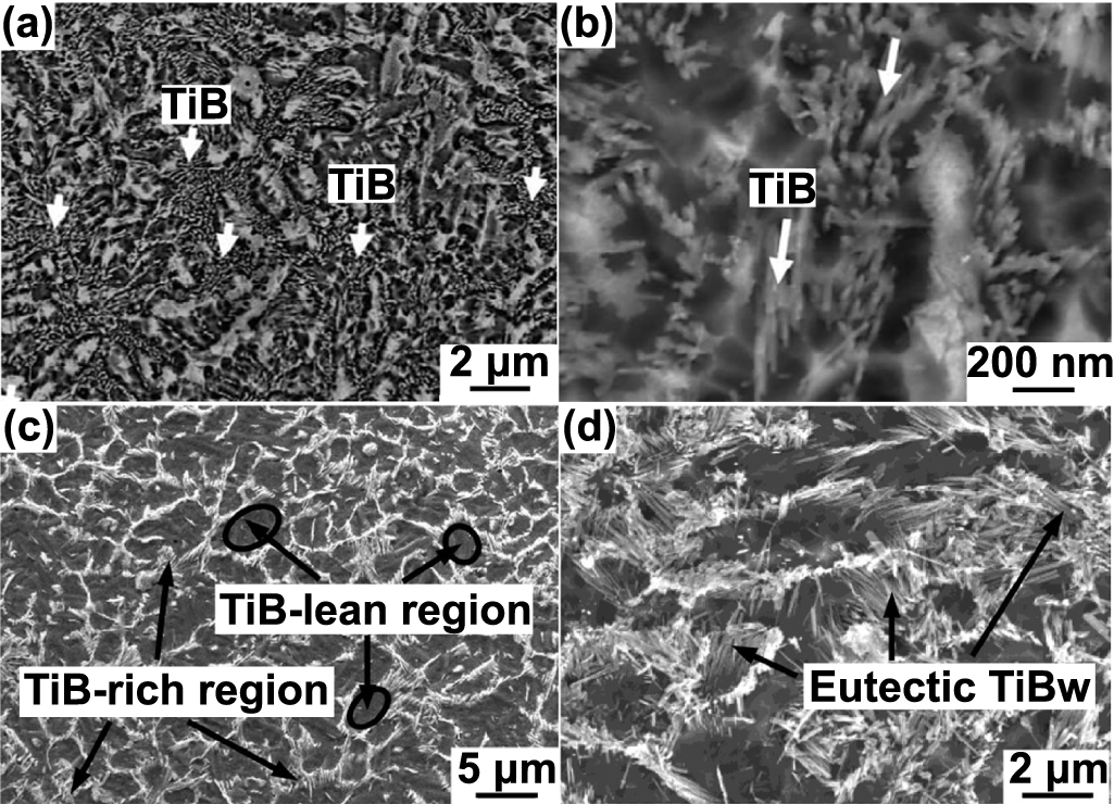 An overview of additively manufactured metal matrix composites