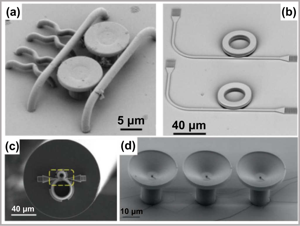 Femtosecond laser micro/nano processing: from fundamental to