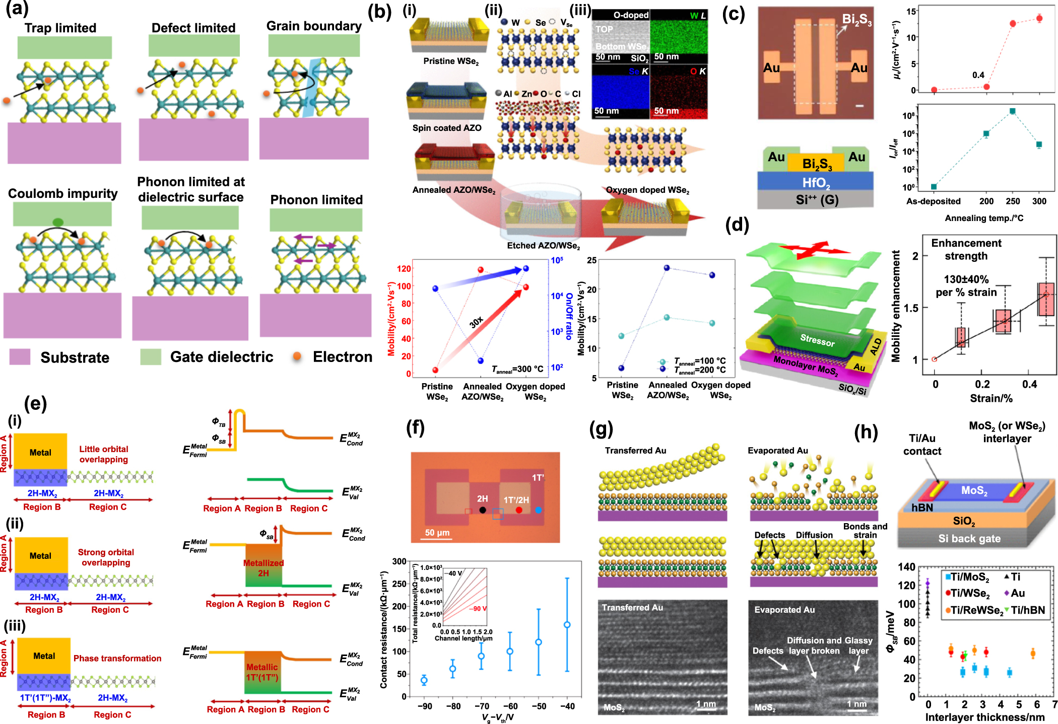 Next generation High-Mobility 2D chalcogenides TFT for display
