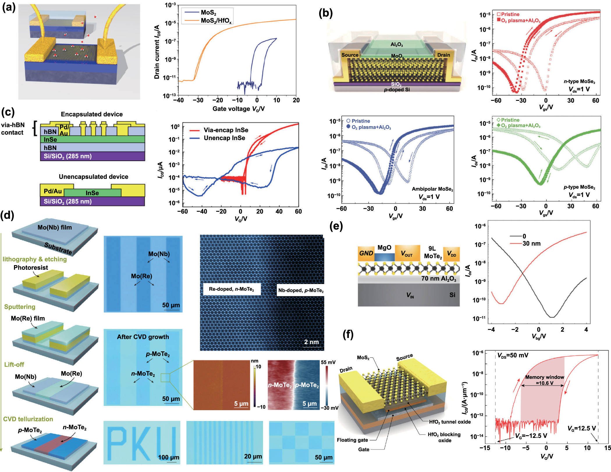 専用ページ188 Next generation High-Mobility 2D chalcogenides TFT for display