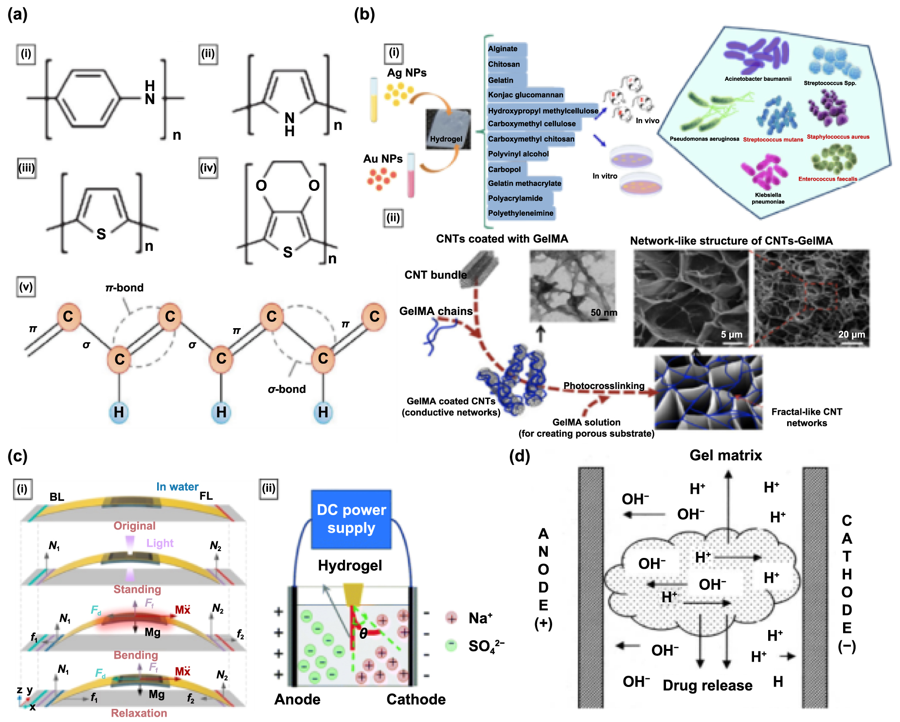 Hydrogel fabrication techniques for advanced artificial sensory